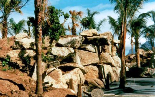 International - Theme park
